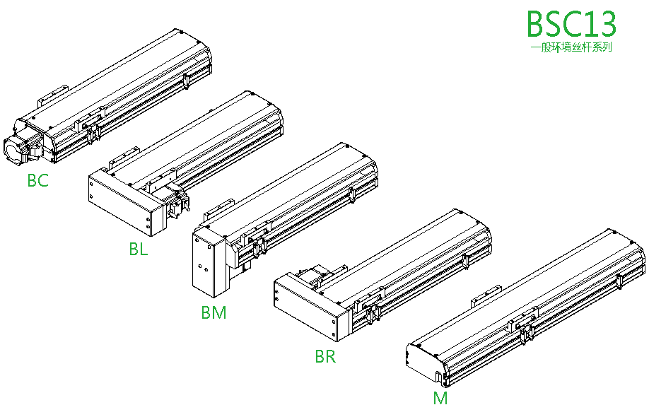 bsc13