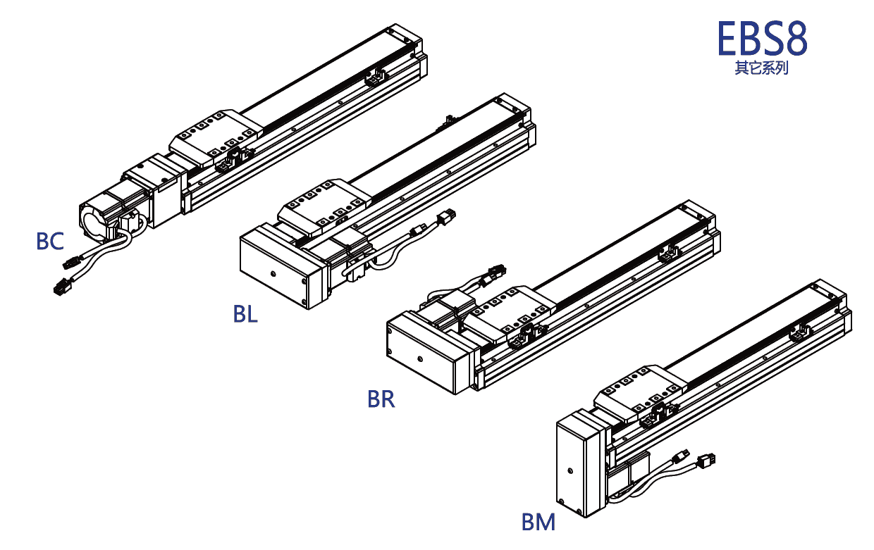 ebs8